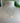 18KT Gold Bird Pearl Necklace
