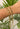 Set of 2 18KT Gold Link Chain Bracelets | Ladies Gold Bracelet | ZS Jewelry